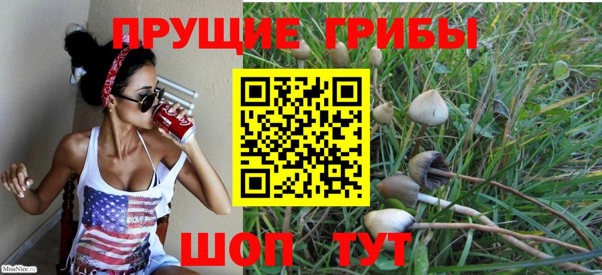 Псилоцибиновые грибы Magic Shrooms  Вход с VPN  Мегион  Псилоцибиновые грибы Psilocybe 