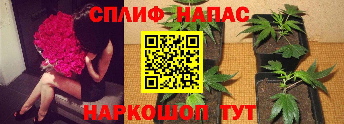 Бошки Шишки THC 21%  Вход с VPN  Конопля индика  Мегион  Шишки марихуана White Widow 